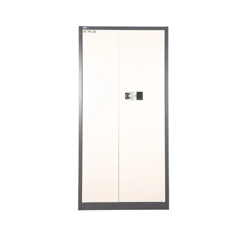 Full-height Double Steel Security Cabinet