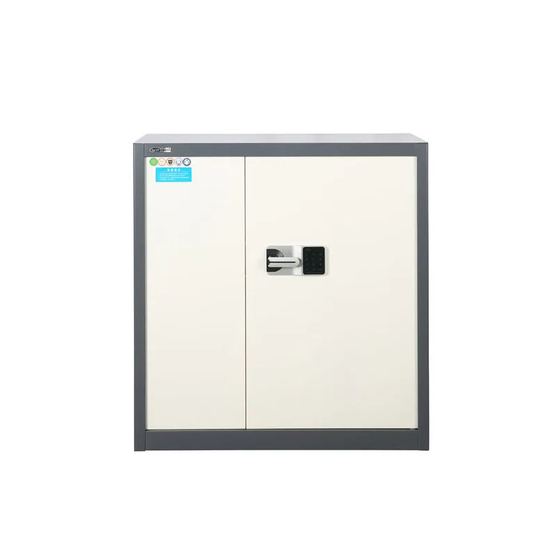 Half-height Double Steel Security Cabinet